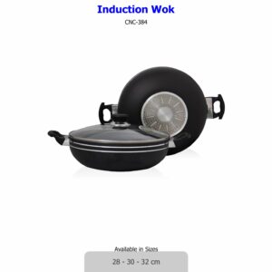 Casio Induction Wok