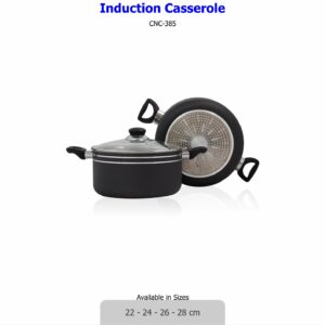 Casio Induction Casserole